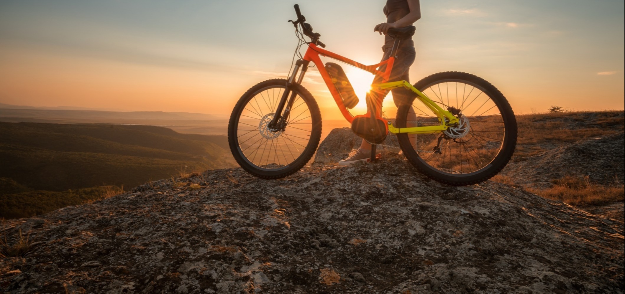 Electric Motor Design Shape and Performance